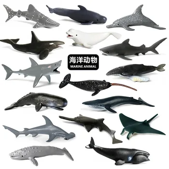 Okyanuslar Dünya Balıklar Akvaryum Minyatür Dekor Balık Tankı Aksesuarları Deniz Hayvan Modeli Kambur Balina Çekiç Köpekbalığı Yunus Oyuncaklar