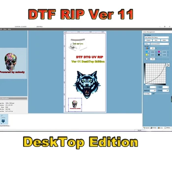 DTF RIP DTG UV Yazılımı Ver 11 Masaüstü Sürümü Dongle Anahtar Epson XP 15000 İçin L1800 L805 R1390 P700 P900 DTF Yazıcı Sürümü 11