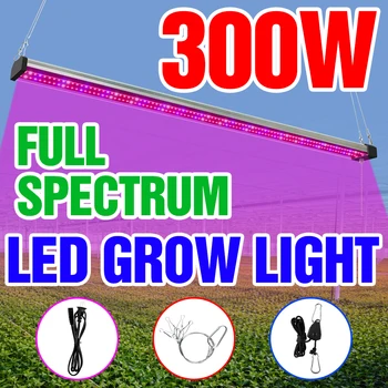 LED bitki yetiştirme lambaları Tam Spektrum Phytolamp Sera Hidroponik Bitkiler LED Yetiştirme ışık Fide Çiçek büyüyen iç mekan çadırı